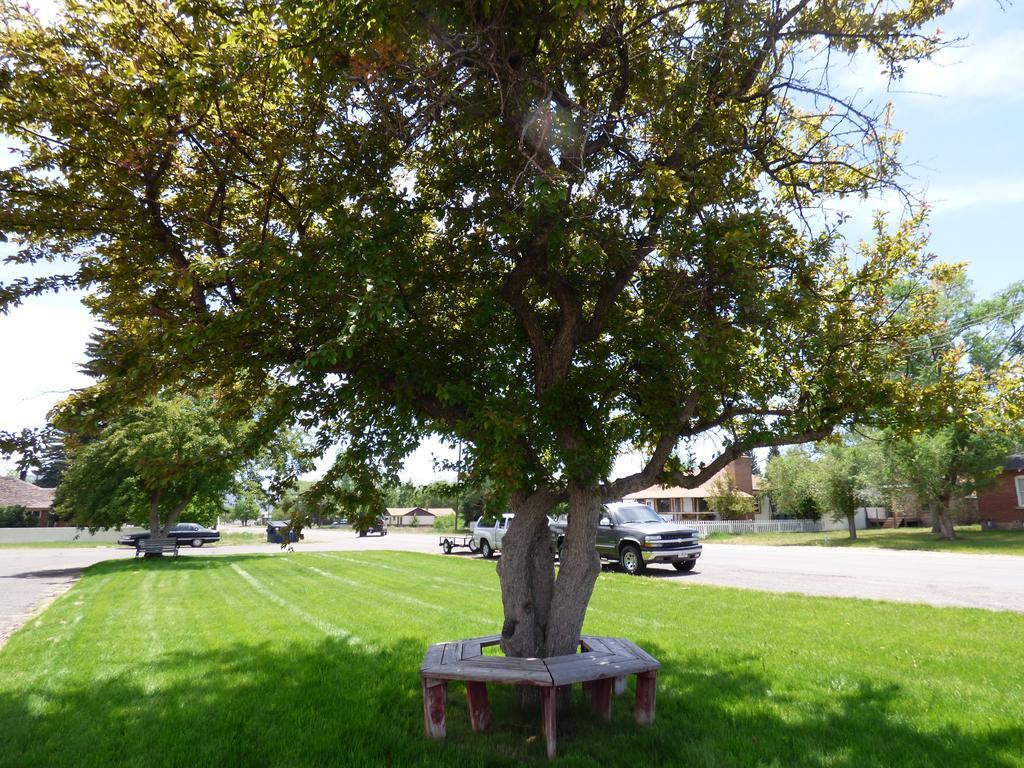 Canyon Lodge Motel Panguitch Dış mekan fotoğraf