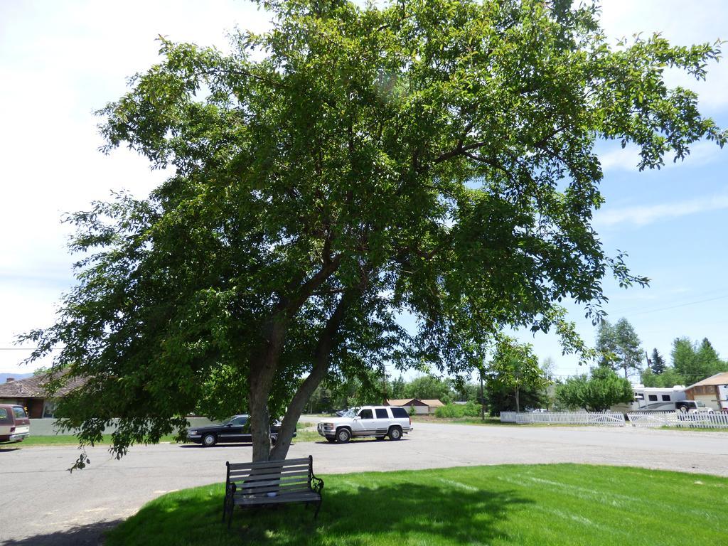 Canyon Lodge Motel Panguitch Dış mekan fotoğraf